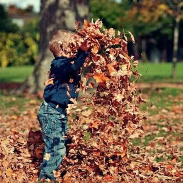 ребенок и листья