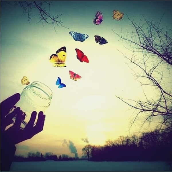 летят цветные бабочки