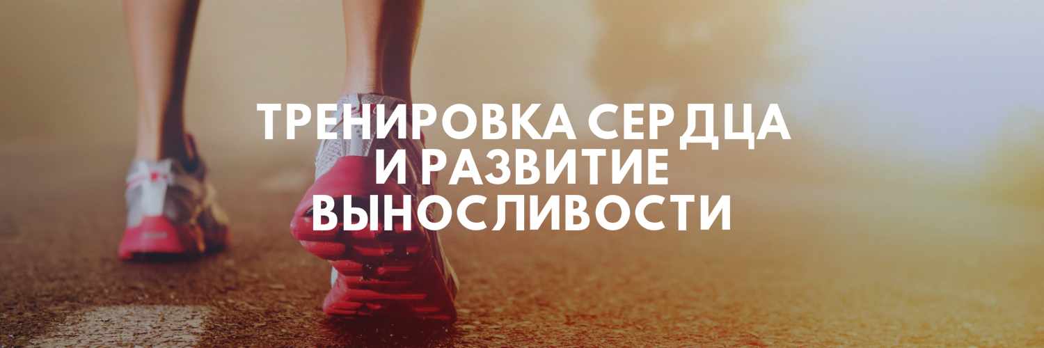 ТРЕНИРОВКА СЕРДЦА И РАЗВИТИЕ ВЫНОСЛИВОСТИ